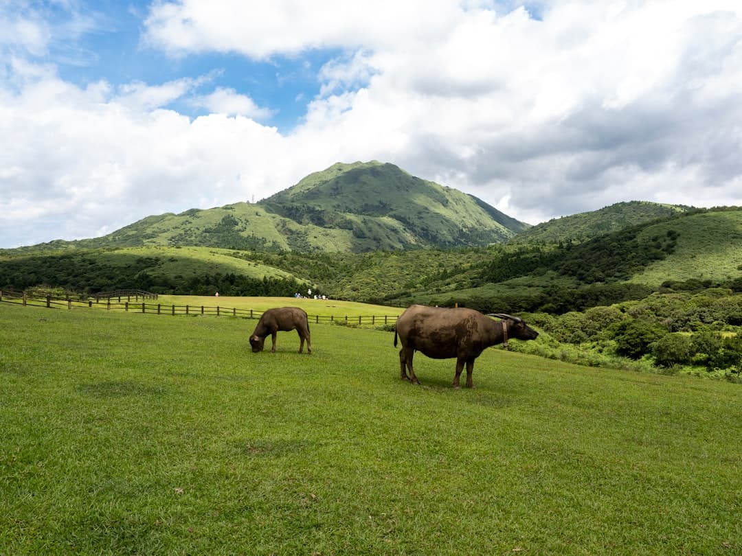 Yangmingshan National Park